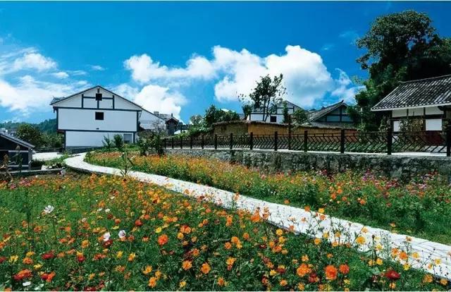 醉美遵义,醉美新遵义