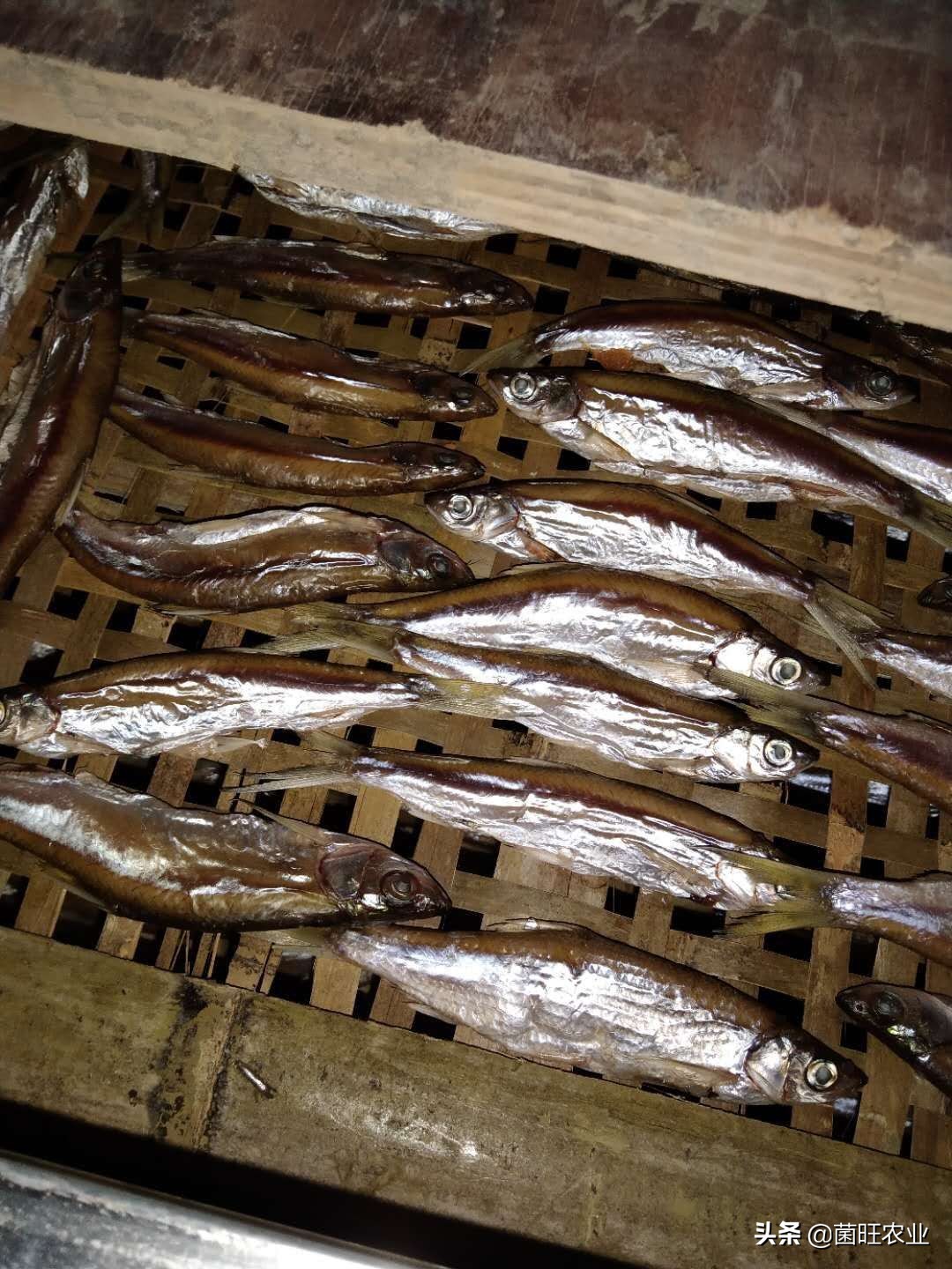 猫吃的烤箱小鱼干烘干的正确方法,淡水小鱼干自然晾干和烘干的区别