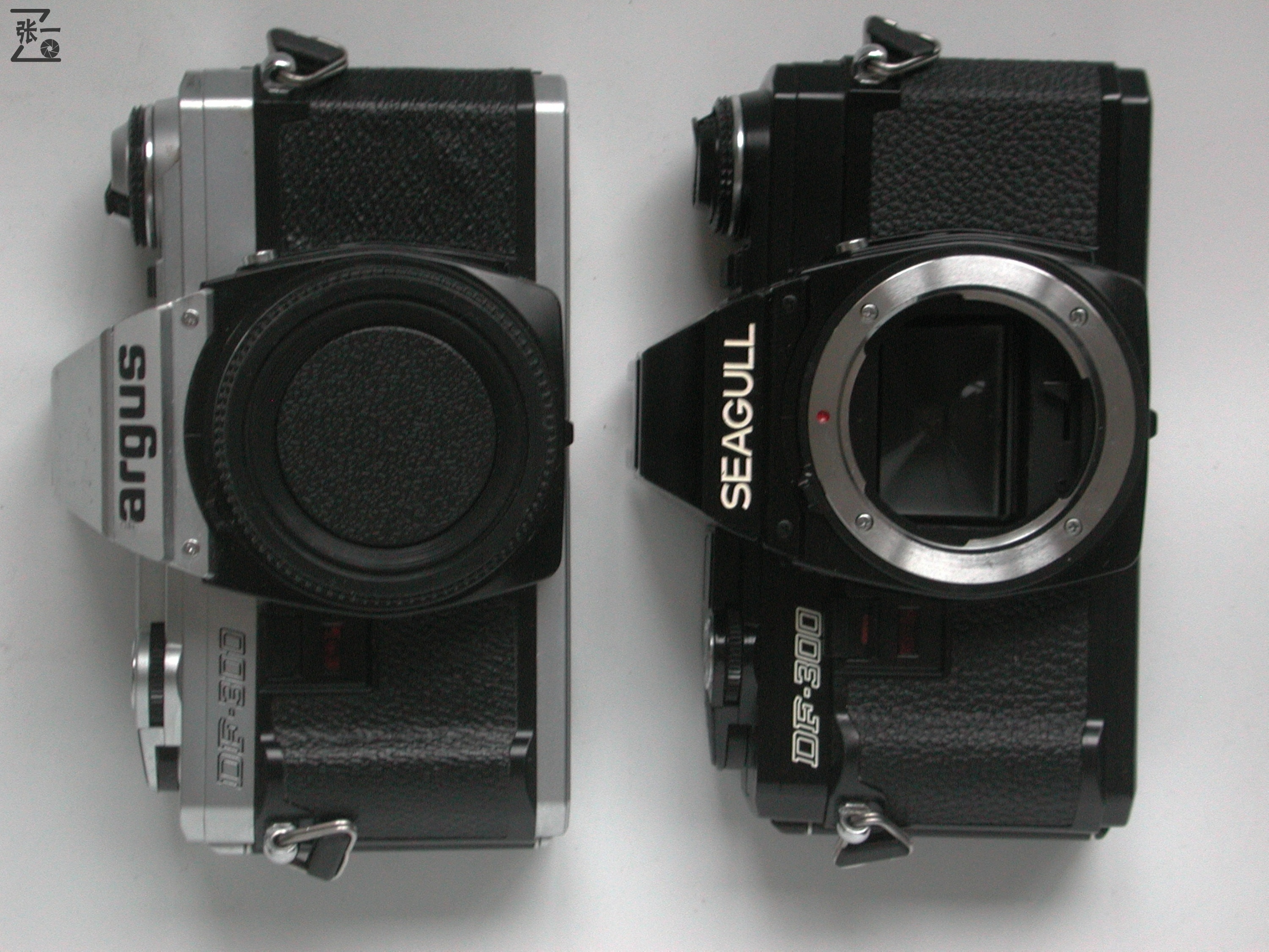 上海海鸥df相机,老牌海鸥单反相机价格表