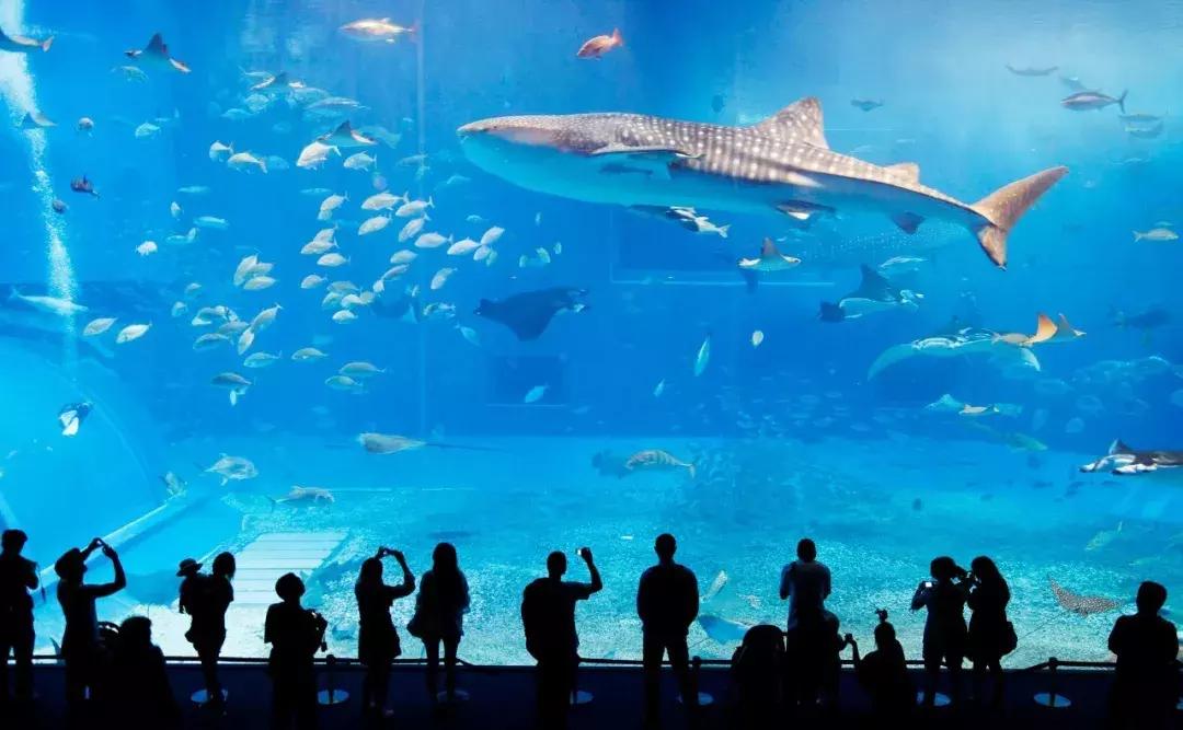 恋恋冲绳丨有一种海水的蓝，叫做“果冻蓝”