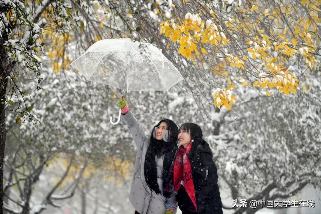 请收藏这份冬日限定浪漫|校园“周”在线(10月29日—11月7日)