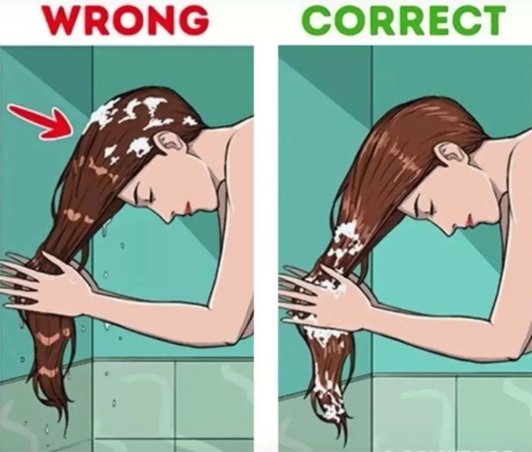 干性头屑洗什么洗发水好,去头屑掉发最好用的洗发水测评