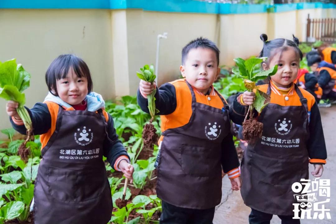 郴州城东公立幼儿园,郴州的公办幼儿园有哪些