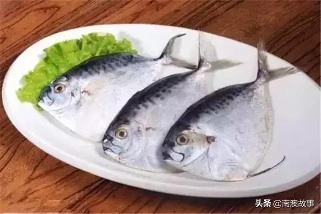 南澳渔民捕鱼视频,南澳渔民出海