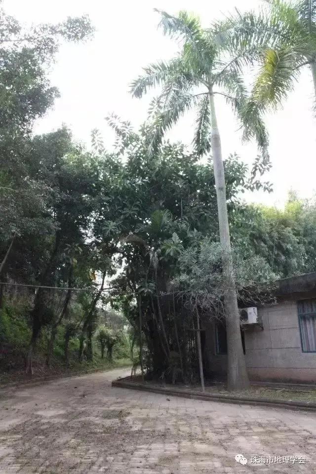 珠海市静美古村落,珠海古村落哪个最好玩