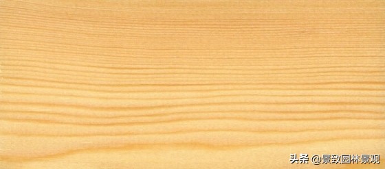 木纹最好看的木材图片,各种木材纹理图片与名称