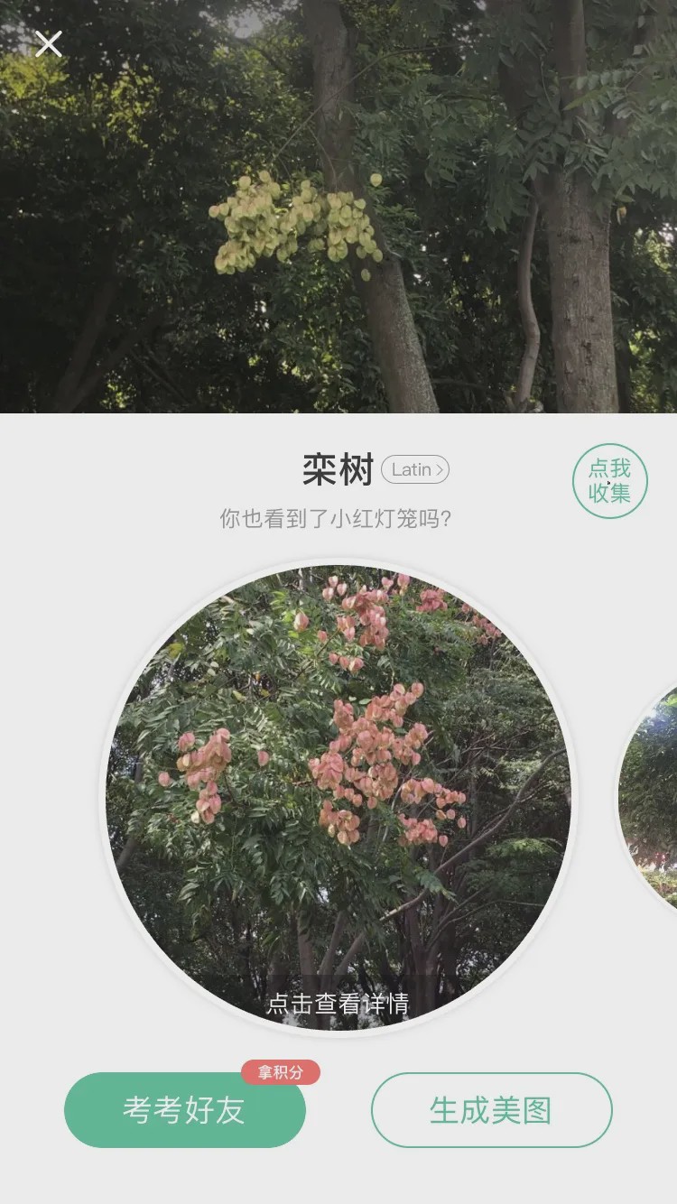 哪个识花软件最好用,识花app免费的哪个好