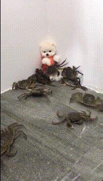 捡到了u盘里面会有什么,捡到一个u盘还好没有用