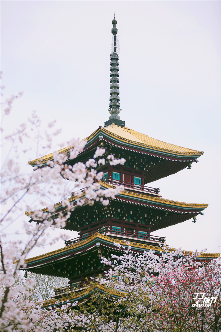 武汉东湖樱花园是世界几大樱花园,世界三大樱花园