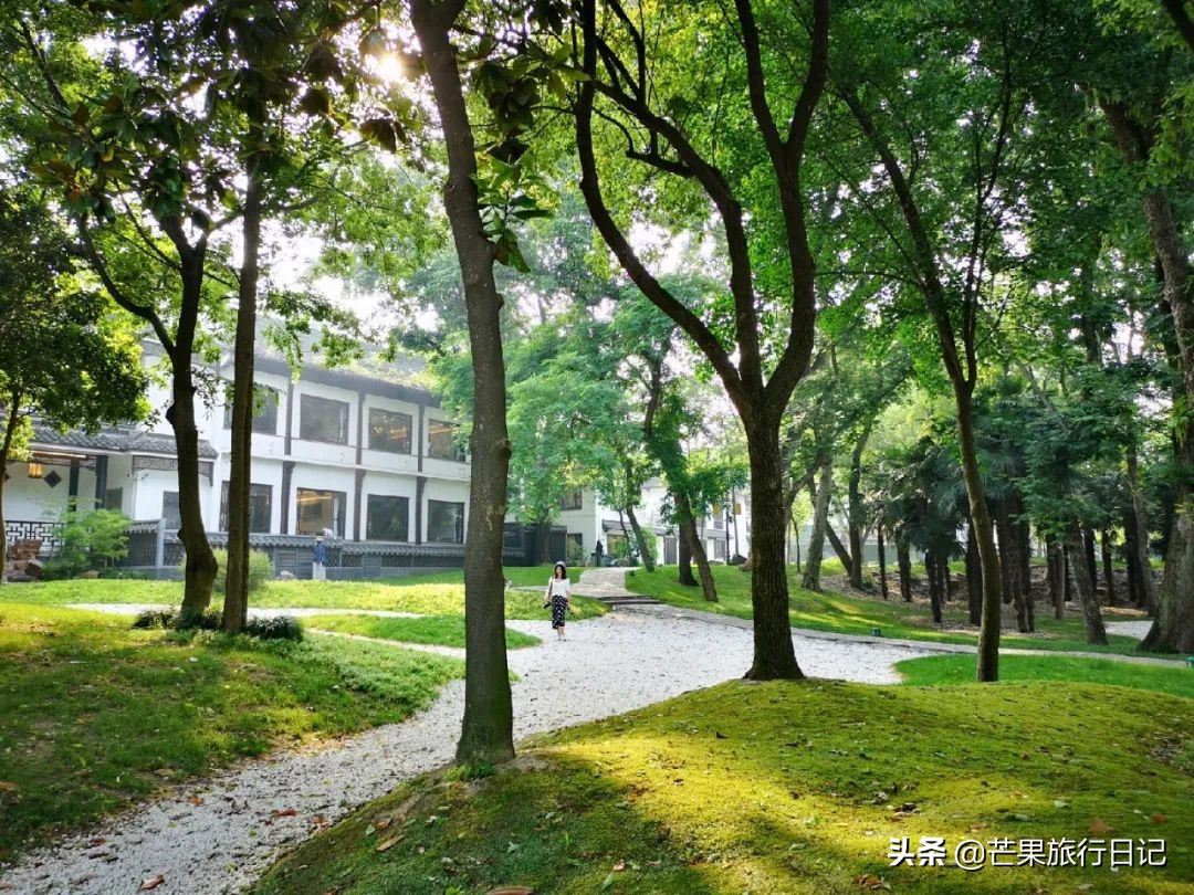 扬州不愧为世界美食之都，吃了一圈让人眼界大开，很多菜都没见过