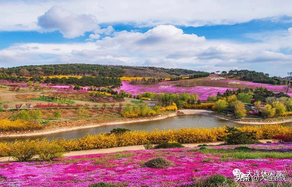 大连五一野餐攻略,大连野餐排名一览表