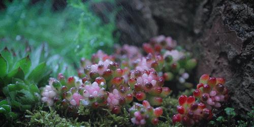 用废弃木床做书架,多功能流觞曲水桌