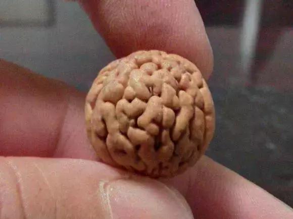 脑纹桃核手串的正确盘法,脑纹桃核怎么挑选