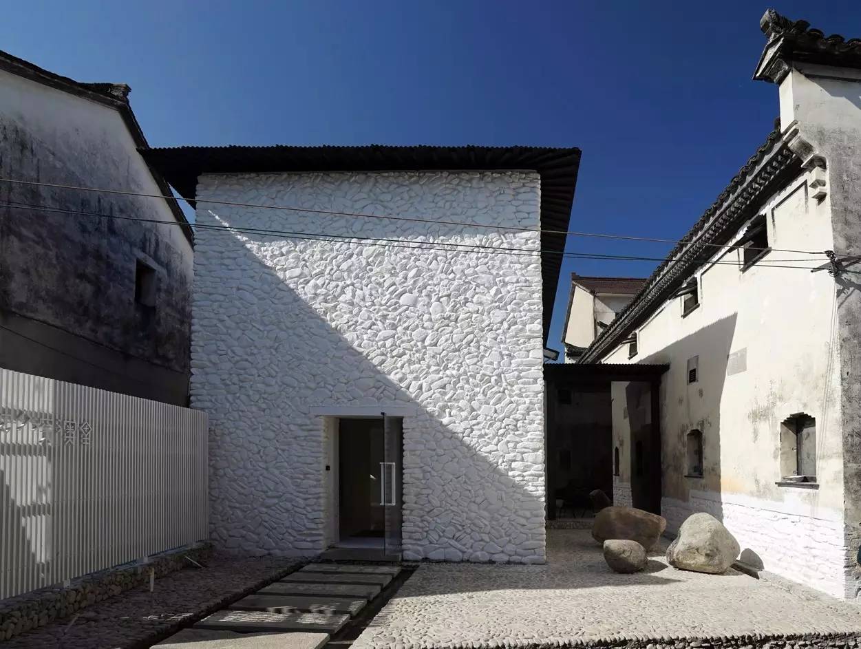 张雷专访视频,张蕾访谈完整版