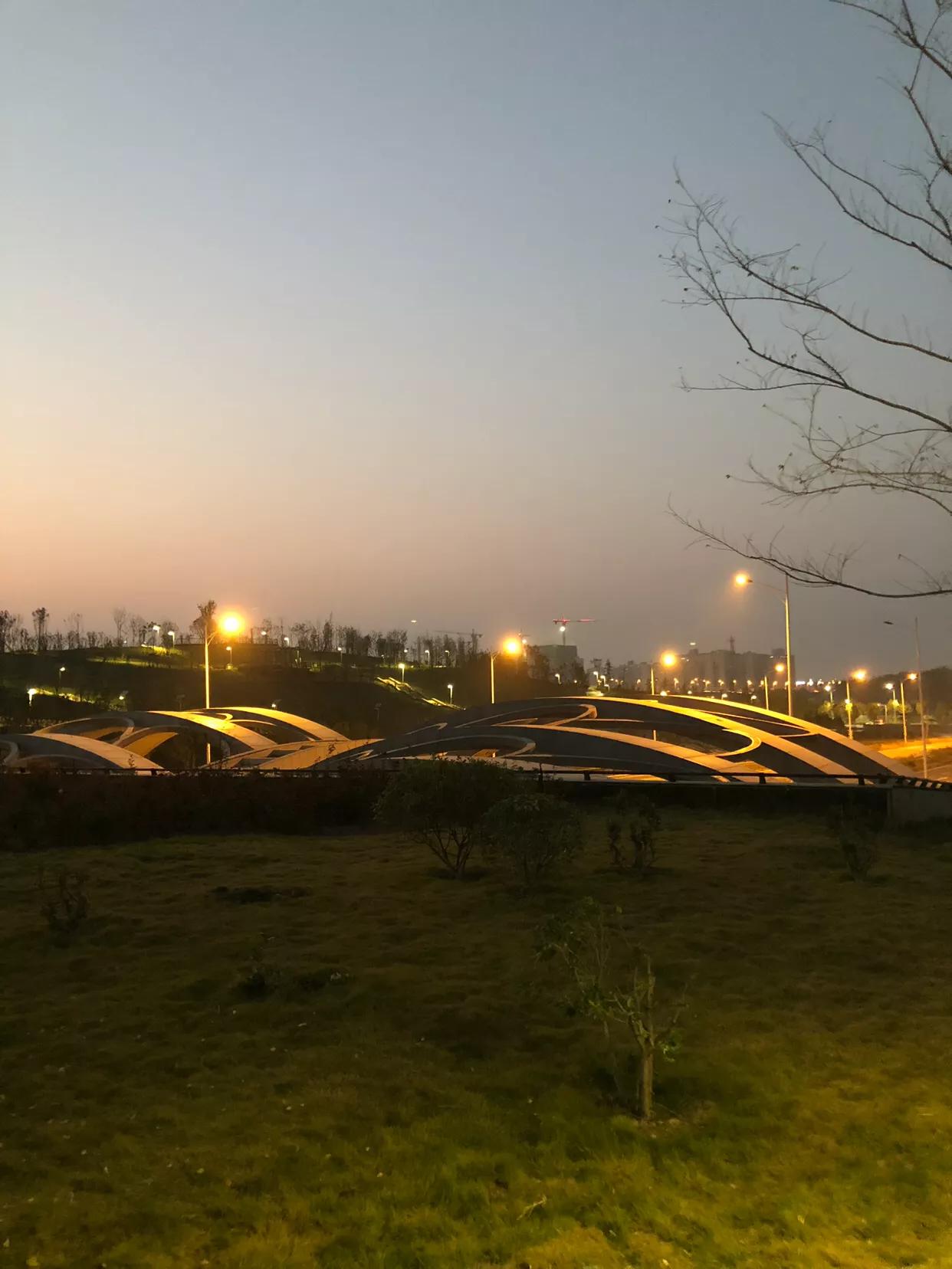 郑州国家森林公园夜游,郑州森林公园冬日游