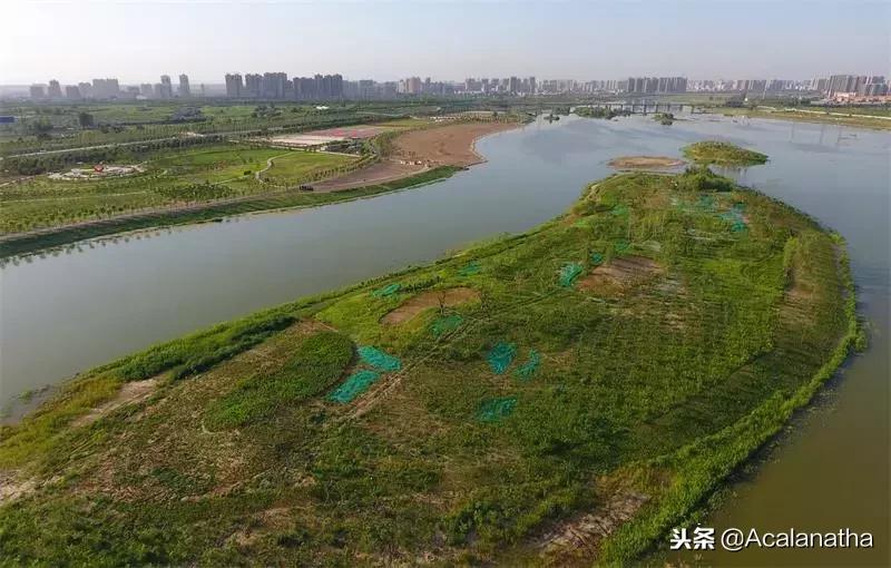 关于咸阳湖的资料,咸阳湖为啥叫咸阳湖