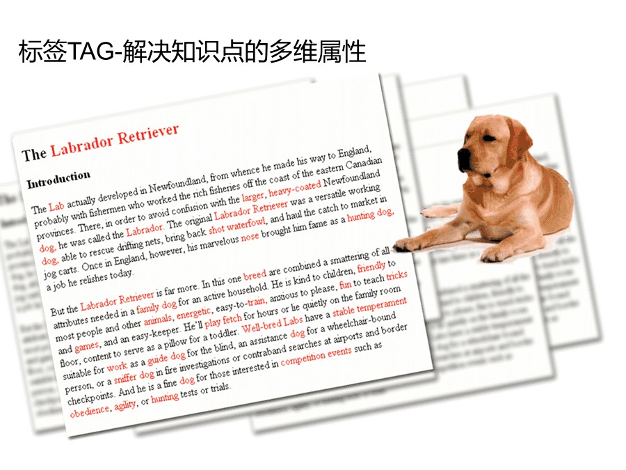 管理培训个人总结,个人知识管理怎么做