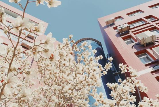 揭秘！北京“最国际范儿”大学之一：周总理关怀创办，创下多次全国第一！