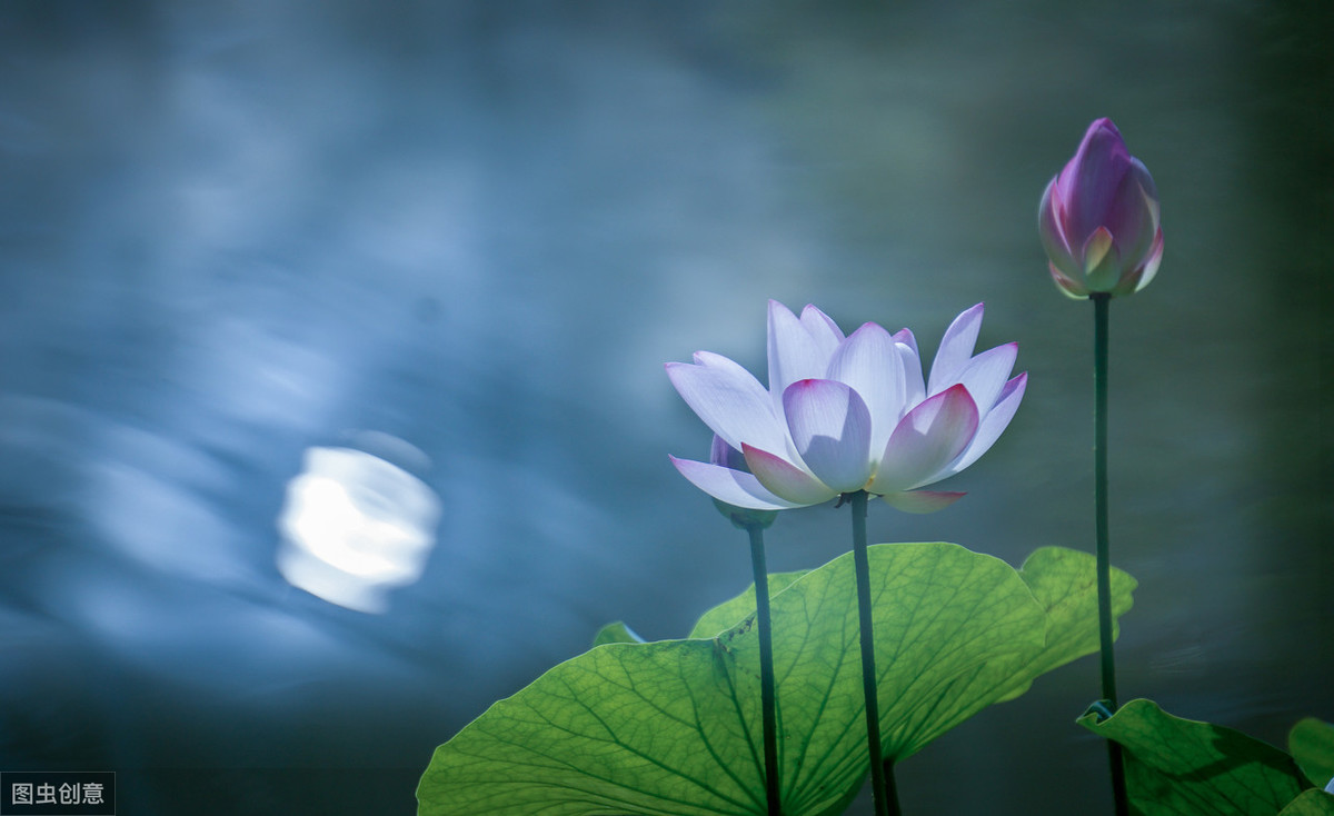 那一夜，月光刚刚好