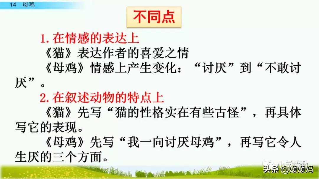 四年级下册第13课小练笔仿写母鸡,四年级下册14课母鸡的预习完整版