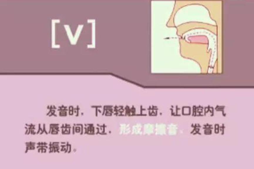 英语音标学习英式美式,英语音标发音教程零基础