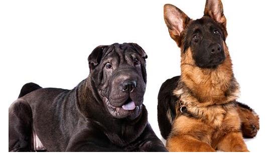 人类原始祖先的生活方式,远古时代我们的祖先怎么生活