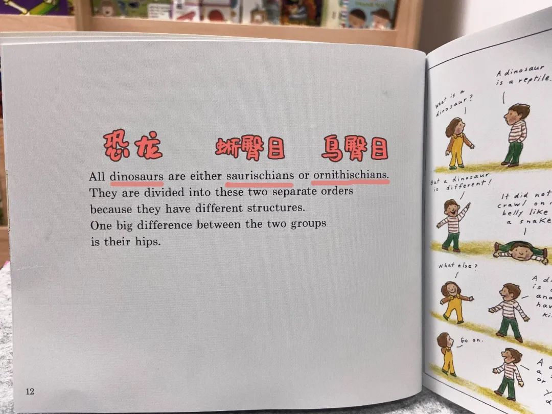 探秘恐龙世界关于恐龙的资料,恐龙世界科普知识