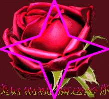 端午节快到了一份端午祝福送给你,端午节给朋友发的端午节祝福语