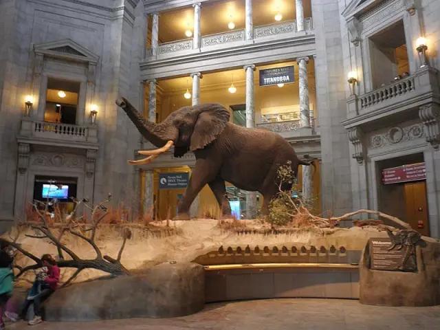 世界十大博物馆埃及博物馆,世界十大博物馆失窃案视频