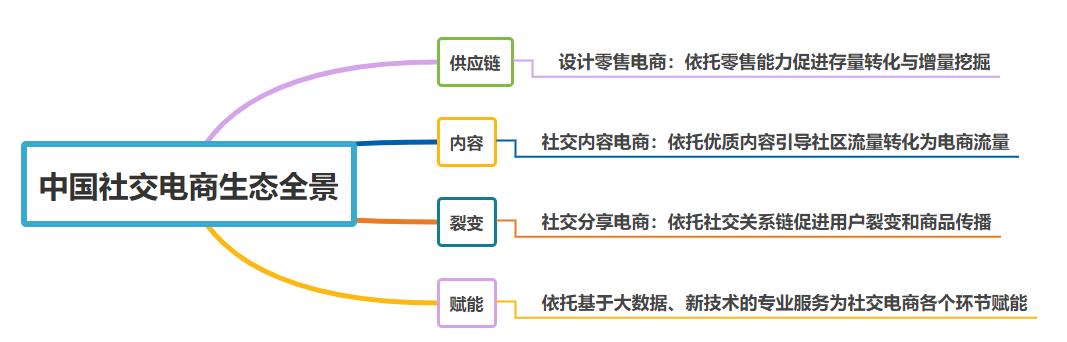中国社交媒体平台分析报告,社交电商十大平台排名