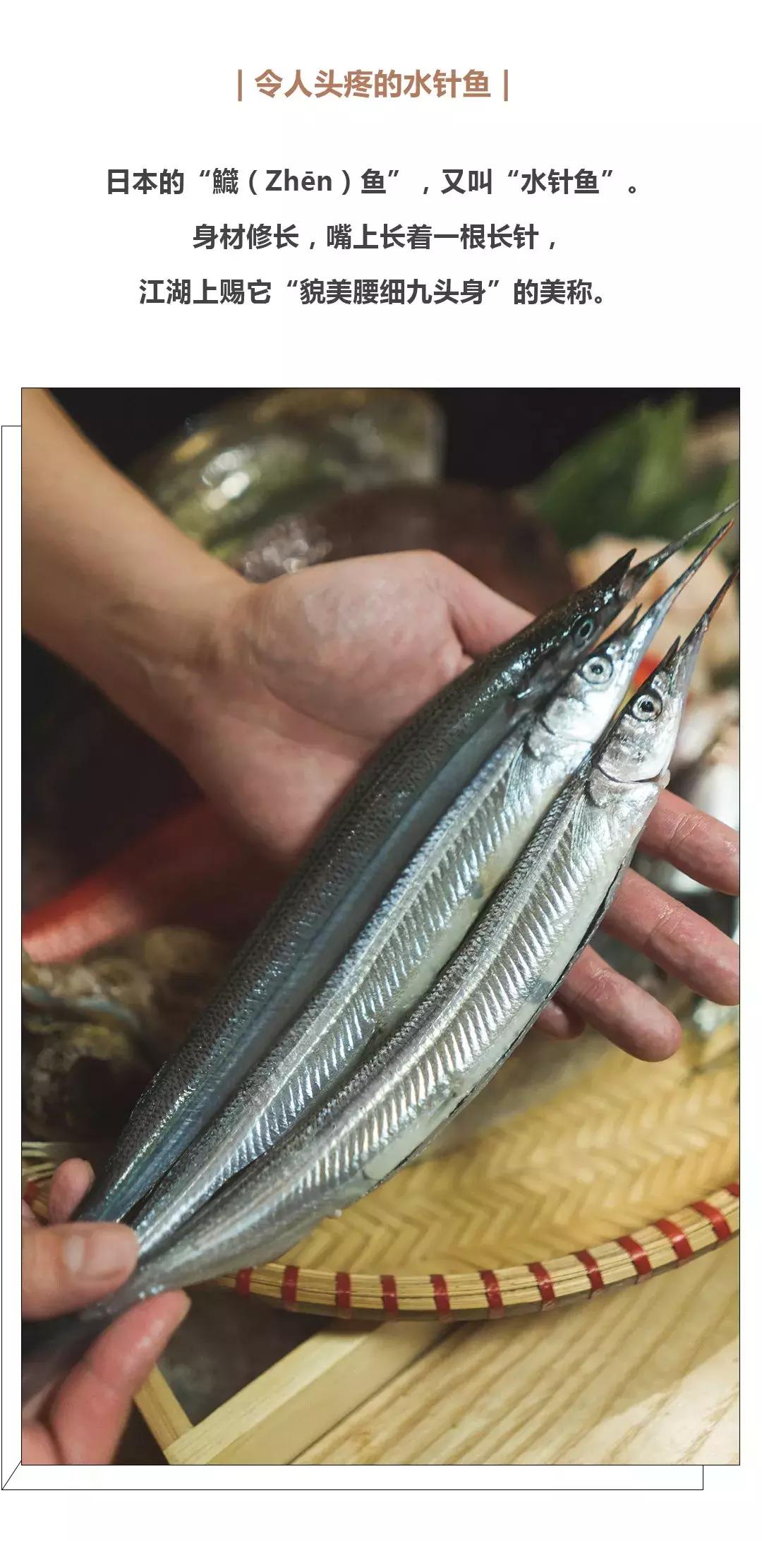 自带5cm长针，活成刺身界最费手功的鱼，不吃你吃谁？