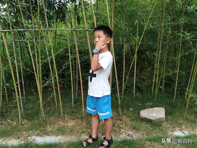 360儿童手表p1pro和s1的区别,360儿童手表p2测评