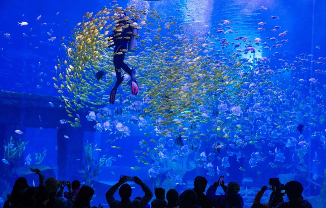 怎么判断临街商铺值不值得投资,如何判断一个商铺值不值得投资