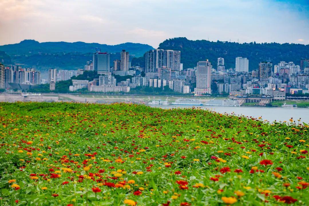 有颜值！有味道！万州要火