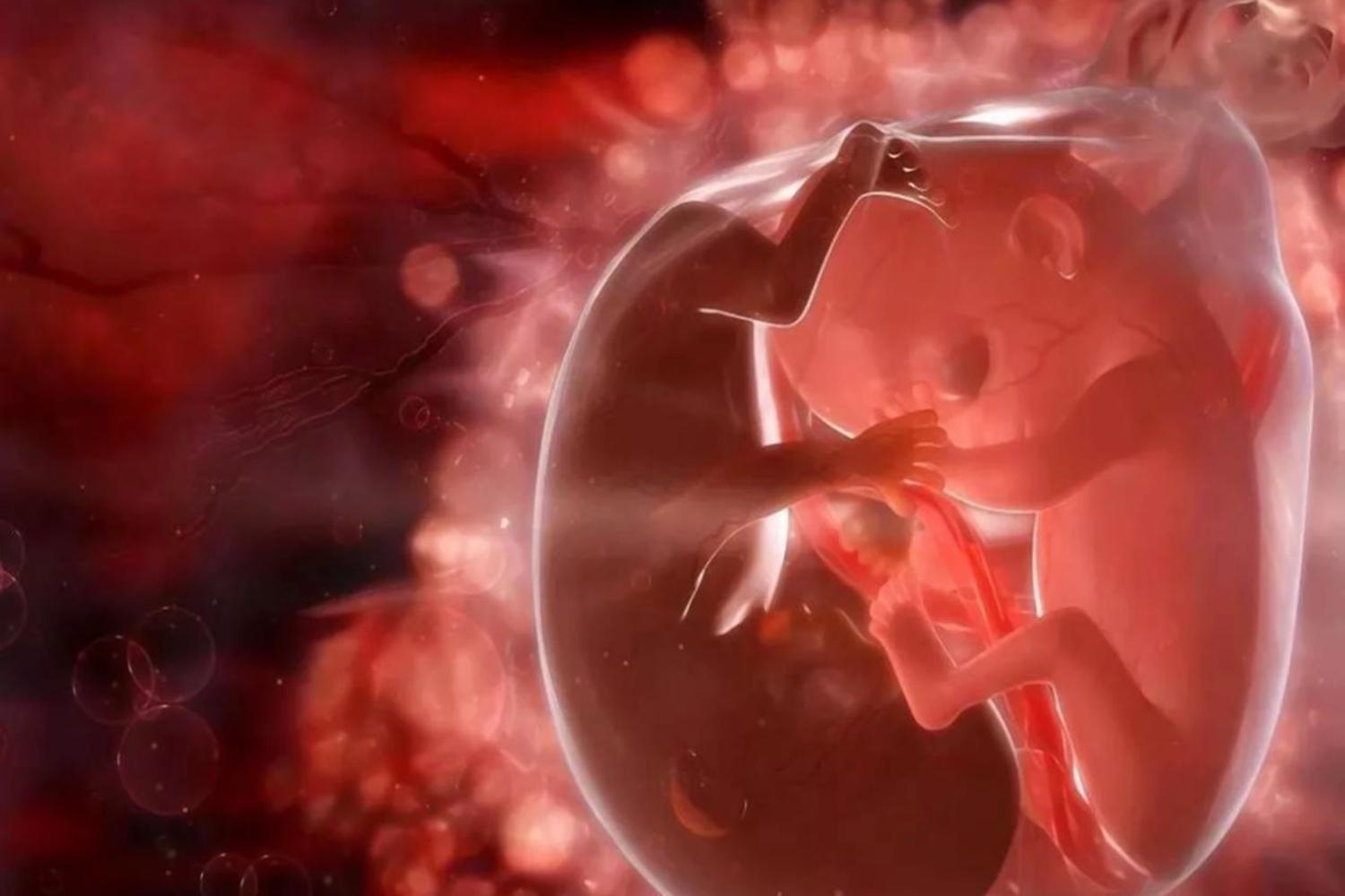 为什么说有人怀孕了羊水破了,羊水为什么叫羊水