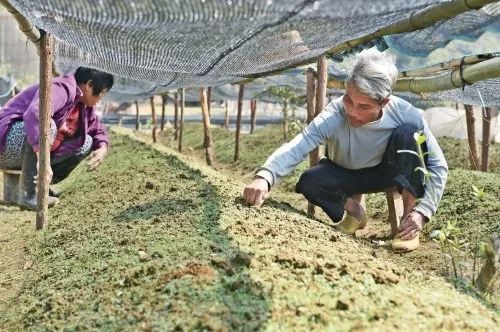 3年30亿扶持3000村!广东“一村一品、一镇一业”今年起这么干!