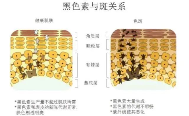 小茂医生美白护肤品,小茂教你如何护肤