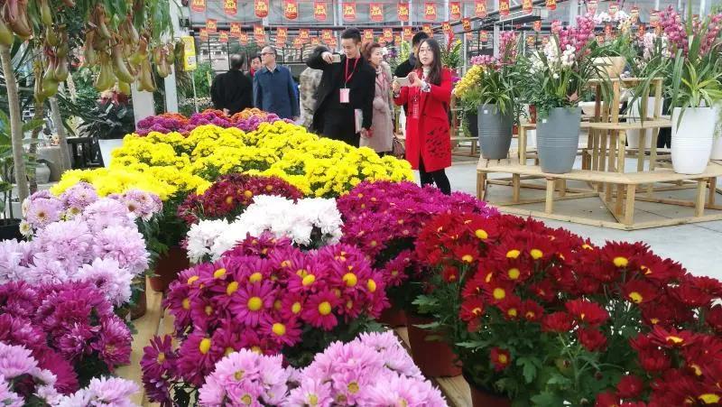 做家庭园艺能赚钱吗,园艺市场未来发展趋势