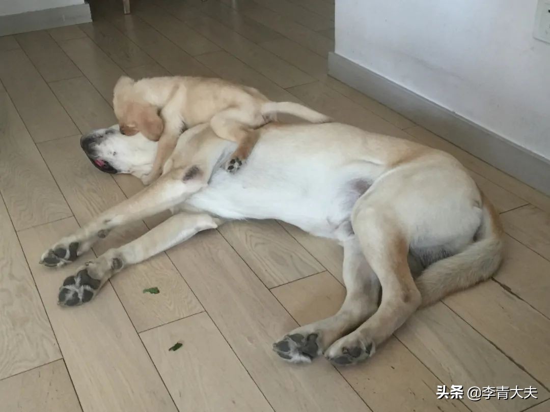 麦扣的家庭,麦扣的质感好物