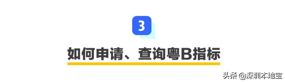 深圳摇号新政策什么时候开始的,深圳最近一次9价摇号是什么时候