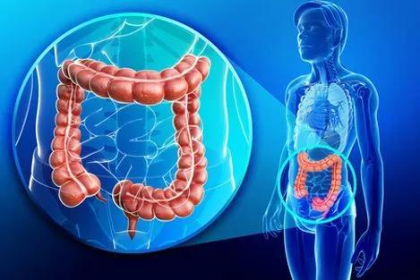 癫痫的治疗方法有迷走神经刺激术,癫痫细胞疗法