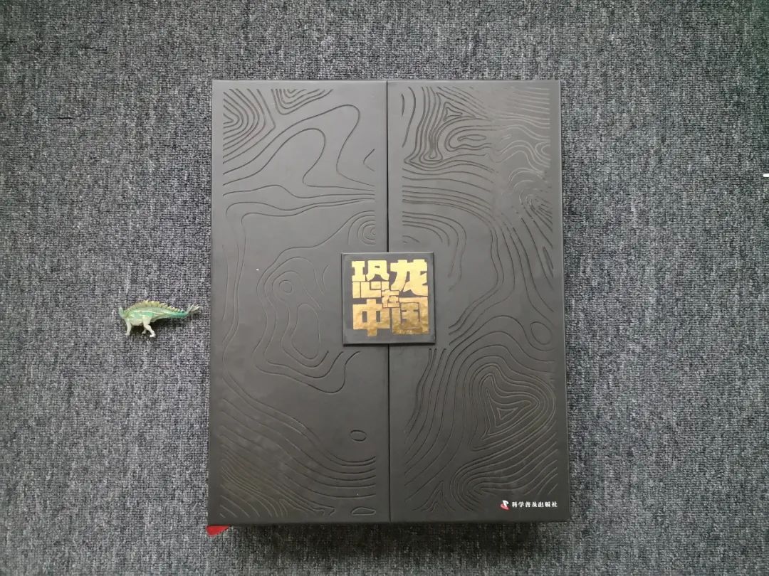 适合孩子看的恐龙科普书,适合5岁孩子看的恐龙科普书