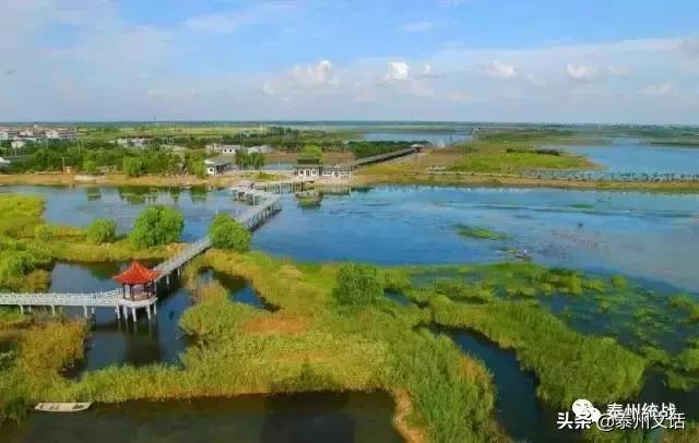 管理着300亿美元，这个姜堰人还想着回乡作贡献