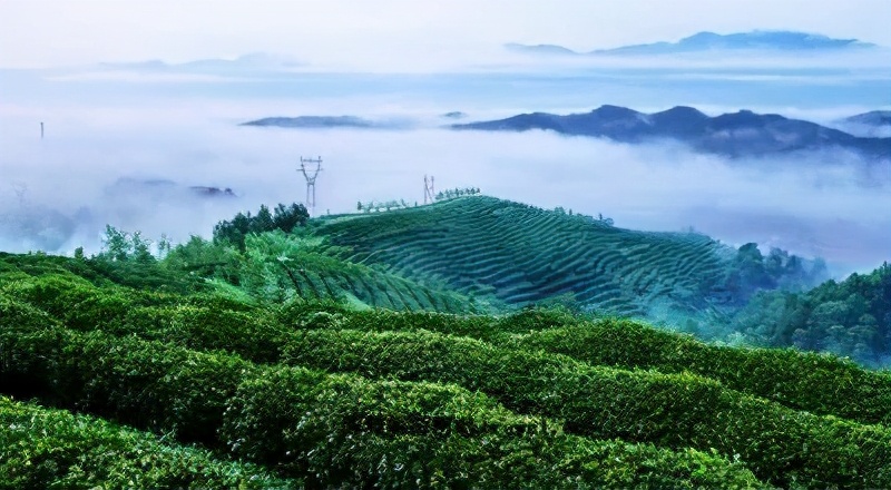 汉中市西乡县的景区,汉中西乡有哪些好玩的景点