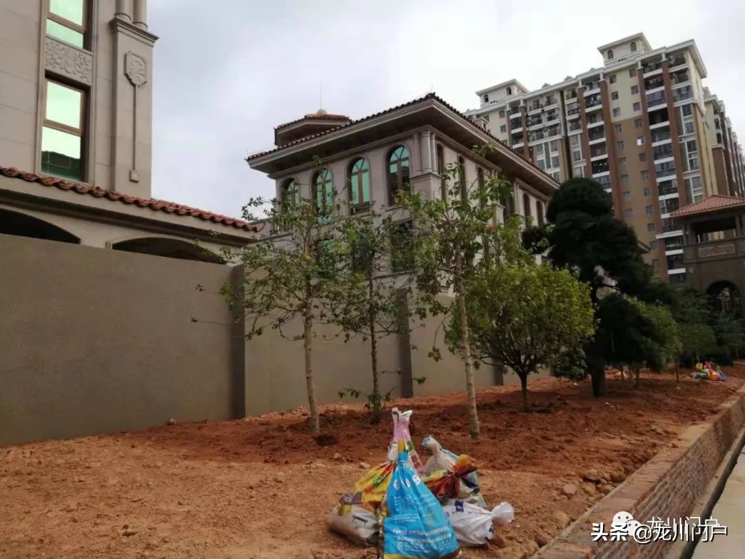 这样的龙川你会喜欢吗？你期待将来是什么样子？