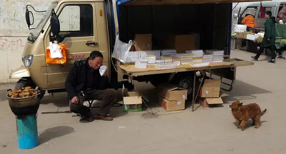 生活不易被迫营业的猫咪,猫咪独自在家铲屎官必做五件事