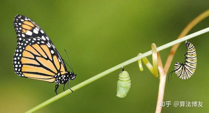 天猫数据分析软件有哪些,天猫新店铺做同行数据分析