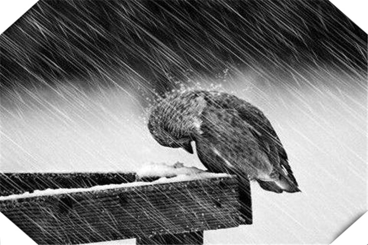 一个人欠款走投无路怎么办,欠债太多无力偿还怎么放平心态