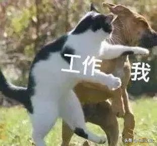 假客户骗中介钱,假钱来骗客人怎么办