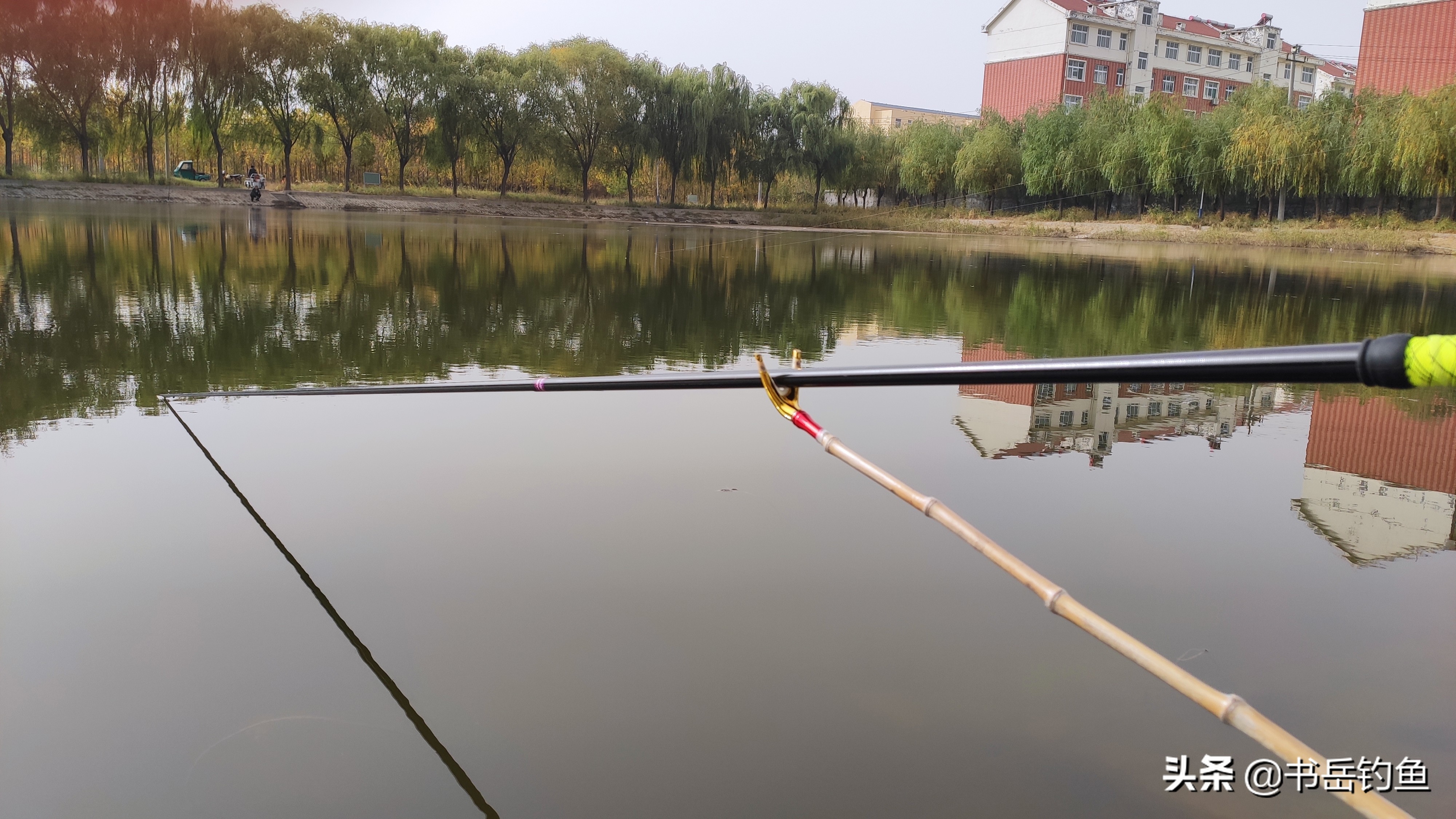 野钓小综合竿是软杆还是硬杆,硬竿和软竿哪个更适合野钓